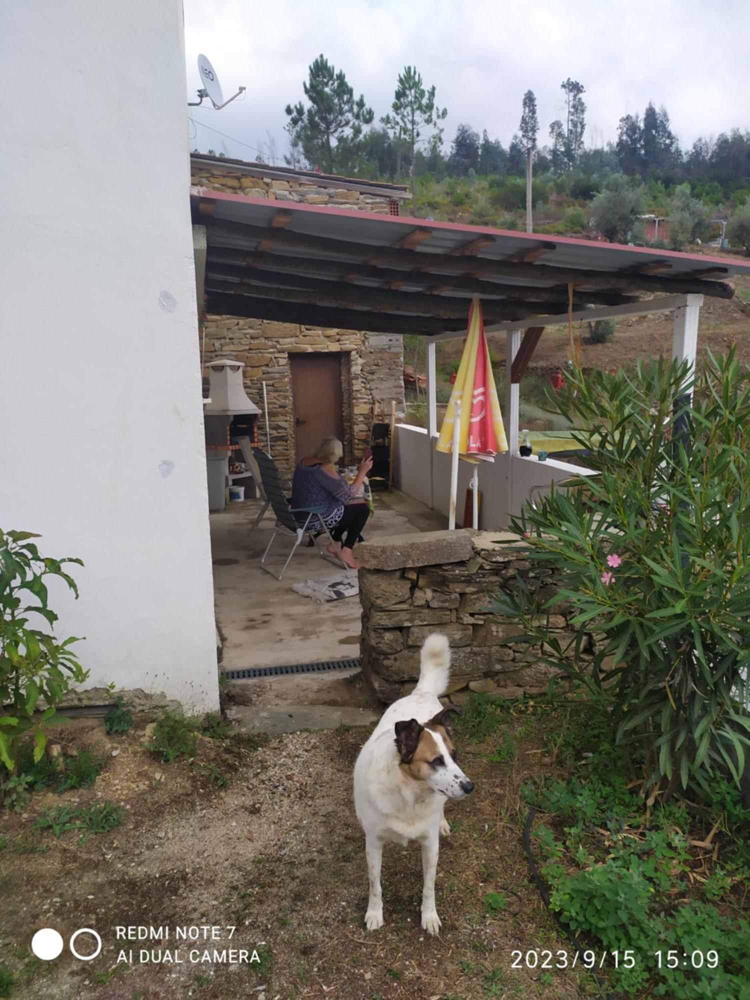 Casa Wiandeha Figueiredo (Castelo Branco) Exterior photo